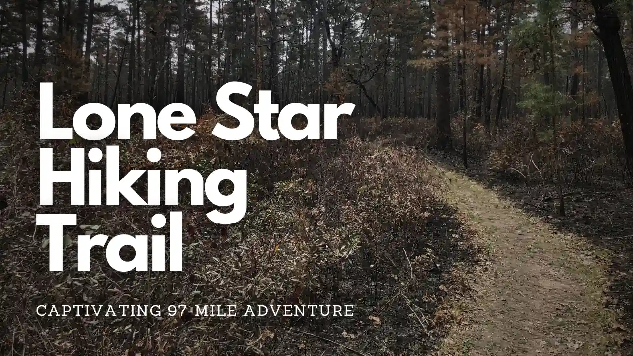 The Lone Star Hiking Trail is a captivating 97-mile route