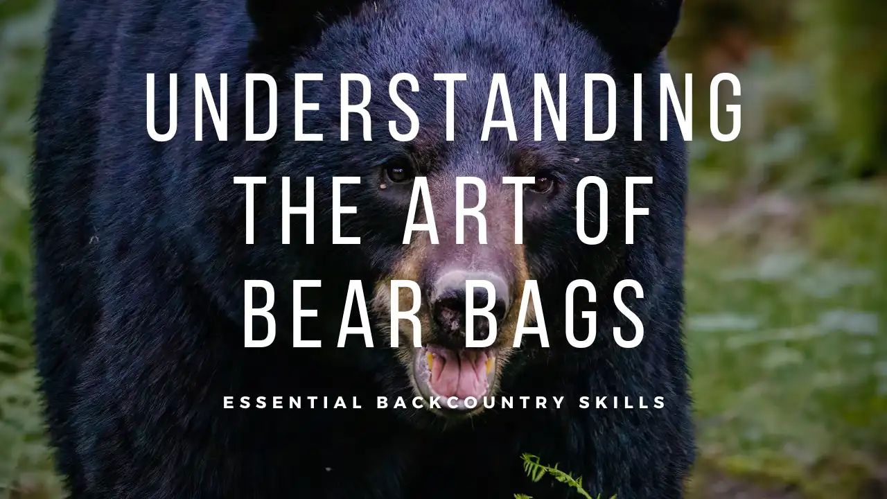 Beyond Bear-Proof: Why Thru-Hikers Swear by Bear Bags